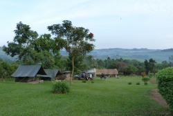 Notre camp de base près de Fort Portal