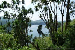 Encore le lac de cratère Kifuruka sous un autre angle