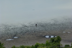 Tout le tour du lac de cratère est ponctué par des buffles ou des antilopes