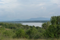Sur notre gauche, le Kazinga Channel qui relie le lac Edouard au lac George