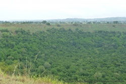 Les versants du cratère sont recouverts d'une forêt épaisse