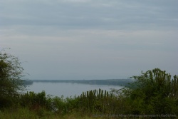 Vue sur le Kazinga Channel que nous venons de parcourir en bateau