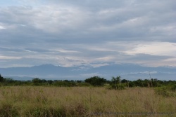 Ce sont les montagnes Ruwenzori qu'on voit drapées de nuages