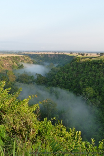 Les gorges de Kyambura font partie du Queen Elizabeth NP