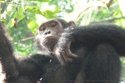 Chacun observe l'autre !
