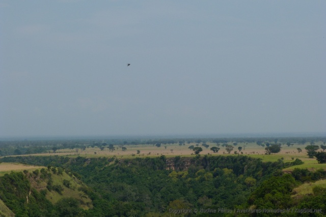 Les brumes matinales se sont dissipées et nous laisse découvrir les magnifiques gorges de Kyambura