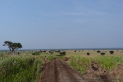 La piste parcourt les plateaux de savane qui surplombent les gorges