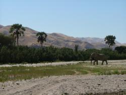 afs_2008_1103(070)
