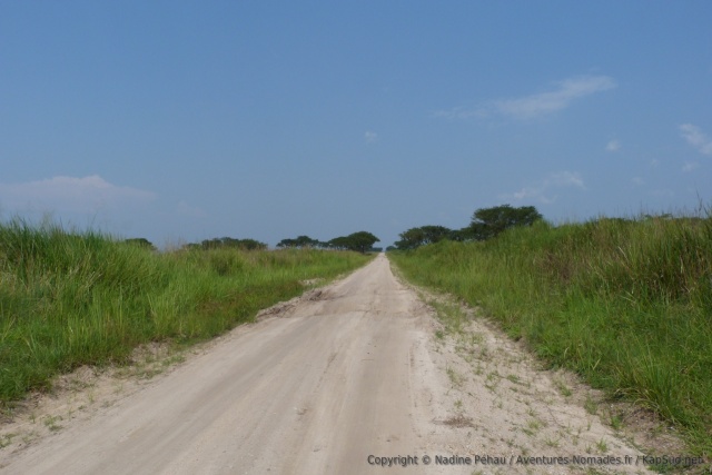 Peu à peu, nous quittons la forêt pour revenir dans la savane
