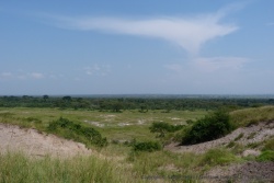 A Ishasha, l'extrême sud du Quueen Elizabeth NP, les paysages sont encore très différents