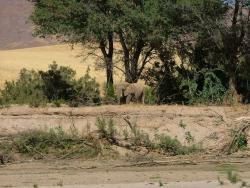 afs_2008_1103(070)