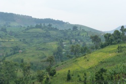 Nous rejoignons le sud de l'Ouganda en traversant de hautes montagnes