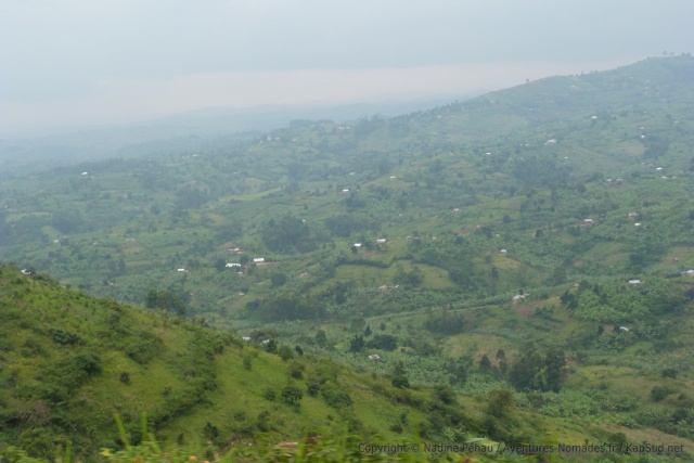 A perte de vue, ces terres montagneuses sont habitées et cultivées