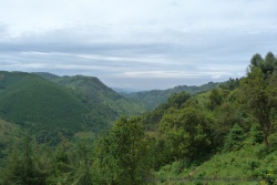 Par endroit, ce sont les forêts qui colonisent les montagnes