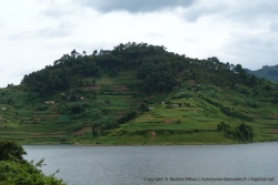 Paysages typiques du lac Bunyonyi