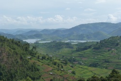 Panoramas splendides sur le lac Bunyonyi
