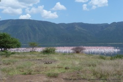 8ème partie - Kenya : les lacs du Nord de la vallée du Rift