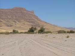 afs_2008_1103(070)