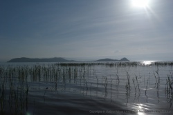De jolies iles parsèment le lac Baringo