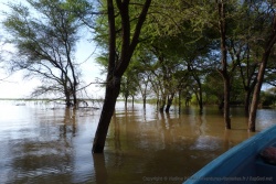 Le Kenya a connu une sasion des pluies hors-normes, du coup le niveau de l'eau du lac est extremement élevé