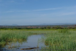 Vue sur l'escarpement de la Rift Valley depuis le lac Baringo