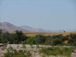 afs_2008_1103(070)