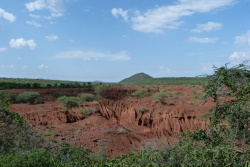 Le paysage aride forgé par les pluies parfois torrentielles