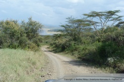 Une fois la colline franchie, nous replongeons vers le lac Nakuru