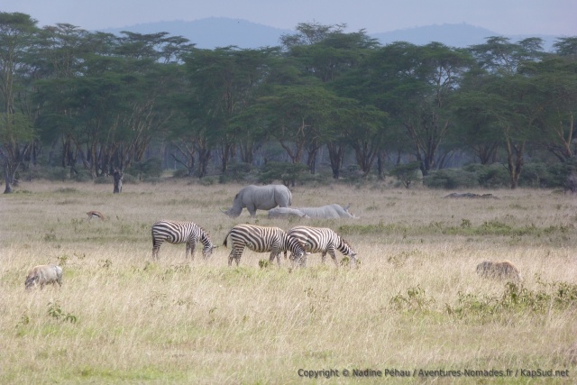 Parfois, le lac Nakuru ressemble à un véritable éden