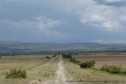 Une piste assez ardue par laquelle nous quittons le lac Nakuru