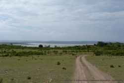 Le lac Elementeita, un autre de ces fameux lacs de la vallée du Rift