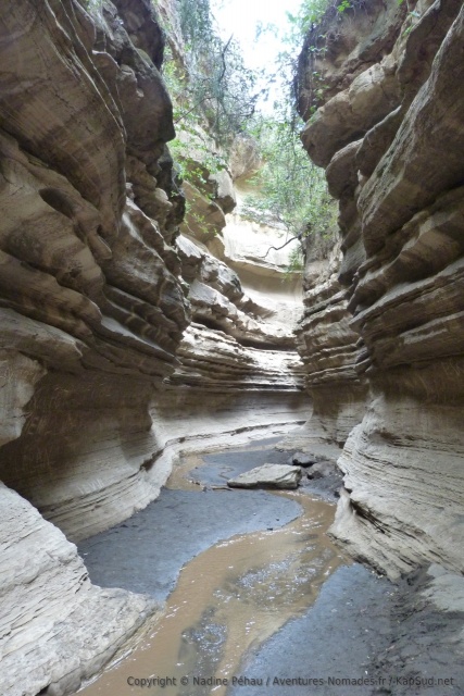 On voit bien que les éléments naturels ont sculpté la roche