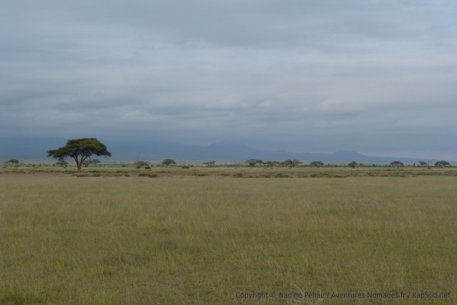 Le Kilimanjaro est noyé sous les nuages