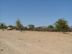 afs_2008_1104(004)