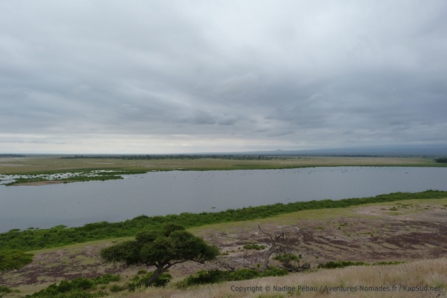Vue sur un des lacs d'Amboseli depuis le belvédère d'Observation Hill