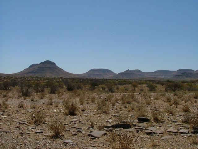 afs_2008_1104(005)