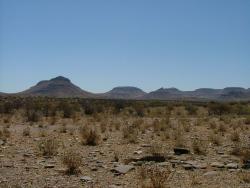 afs_2008_1104(005)
