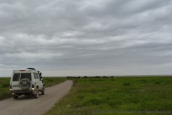 Quand une grosse troupe d'éléphants occupent la piste, mieux vaut rebrousser chemin