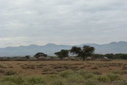 Avec le manque de lumière, on distingue à peine les cases des habitants de la terre poussiéreuse