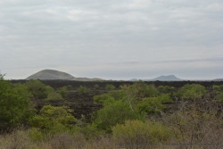 La coulée de lave s'étend sur plusieurs kilomètres à l'entrée ouest du parc de Tsavo