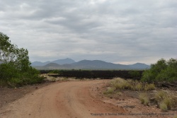 Un des fantastiques paysages de Tsavo Ouest