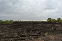 Shetani, la fameuse coulée de lave qui est apparue il y a moins de 250 ans