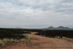 Peu de gens arrivent au parc de Tsavo par cette piste et pourtant les panoramas sont somptueux