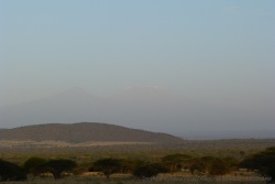 La silhouette du Kilimanjaro se profile au loin