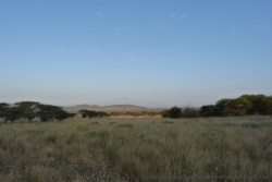 De beaux paysages de savane africaine