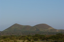Cette fois-ci on voit bien le Kilimanjaro en arrière plan et son sommet à peine enneigé