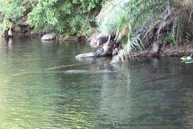 Le cadre a beau être idyllique, il faut quand même rester vigilant comme toujours !