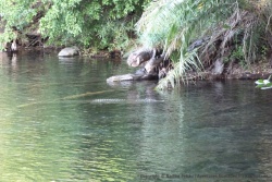 Le cadre a beau être idyllique, il faut quand même rester vigilant comme toujours !