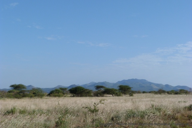 Paysages caractéristiques de cette partie du Tsavo
