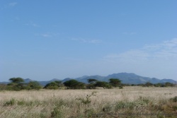 Paysages caractéristiques de cette partie du Tsavo